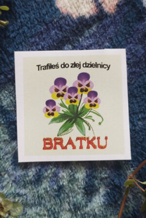 bratki Naklejka "Trafiłeś do złej dzielnicy bratku"