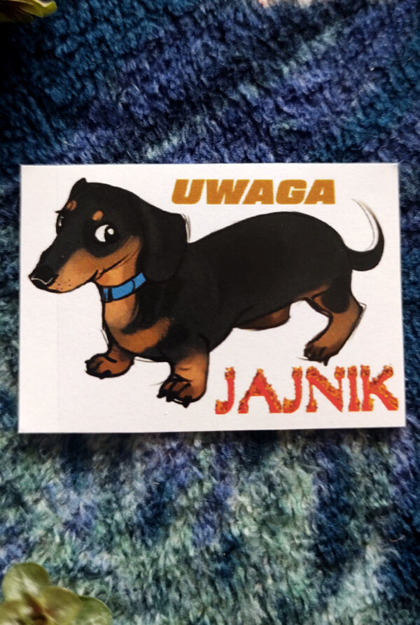 Naklejka Uwaga Jamnik