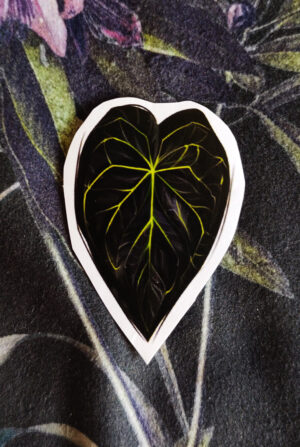 leaf2 Naklejka Liść Anthurium Delta Force