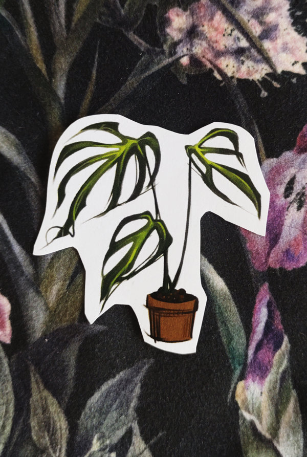 Naklejka Monstera Burle Marx Flame
