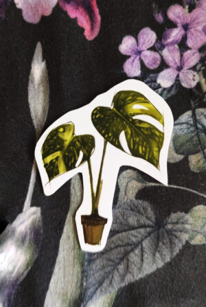 monstera thai Naklejka Monstera Thai Constellation