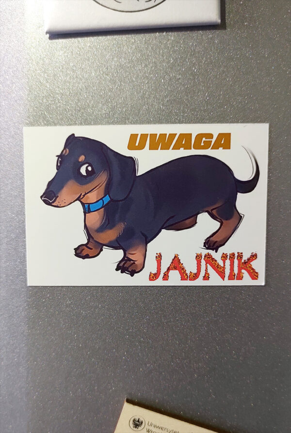 Magnes jamnik